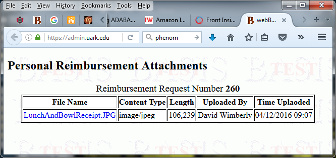 Browser window listing attachments for selection